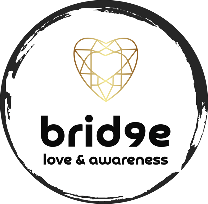 brid9e logo white brid9e logo white