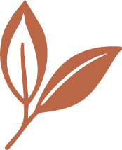 2 leaves 1