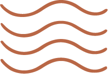 Waves 1