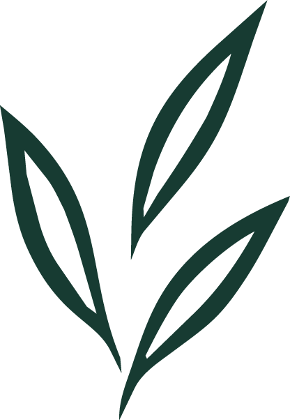 brid9e-symbol-leaves