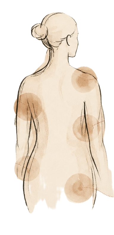 Transparent Body